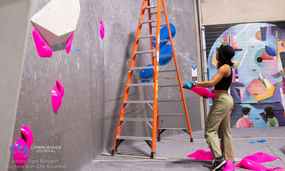 Climb Insider: survey + trade show