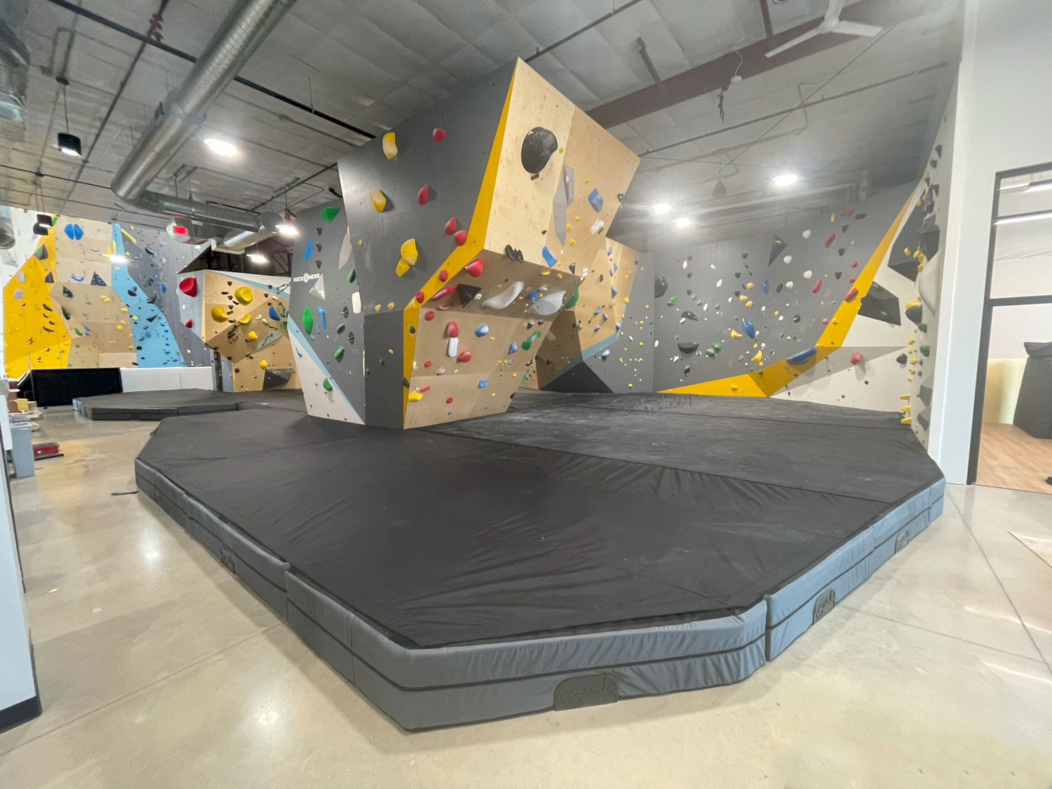 Asana Shares Its Latest Flooring Innovations—and the Values That Influenced Them