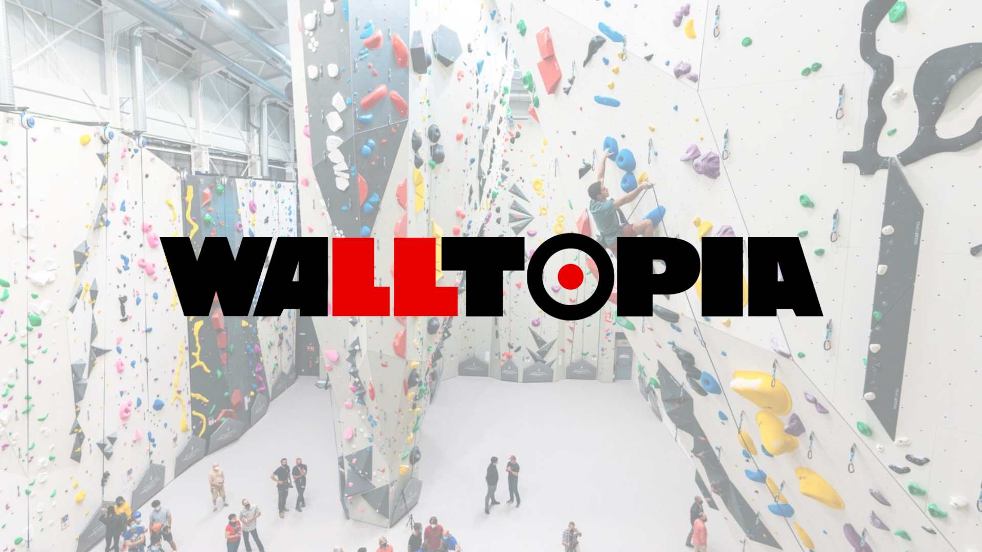Sales Agent Openings at Walltopia – Climbing Jobs Weekly 2025 November 13