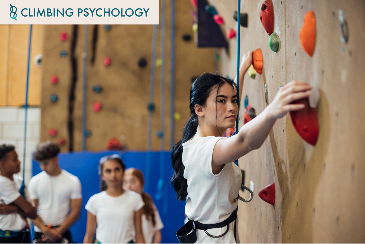Supporting the Support System: Free Parents Workshop for Climbing Gyms and Youth Coaches to Share