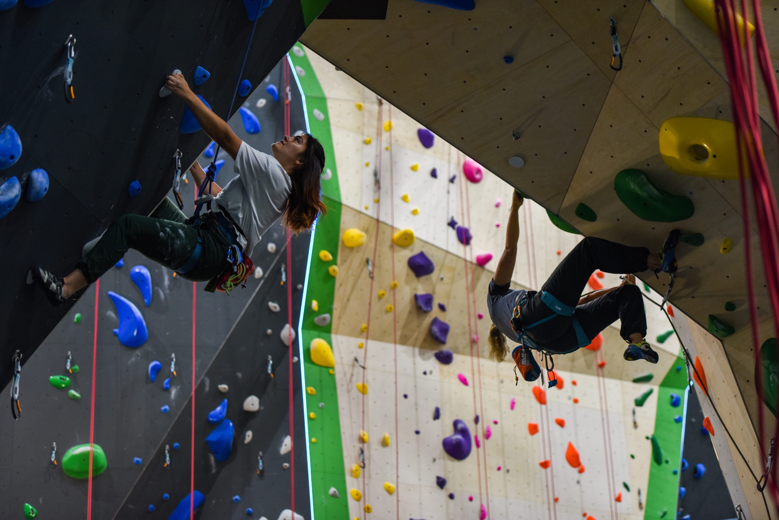 Triangle Rock Club Unveils TRC-Salvage Yard: The Largest Climbing Gym in North Carolina