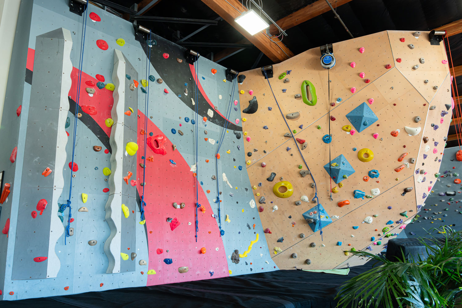 Beautiful Boutique Bouldering Gym on the Monterey Peninsula For Sale