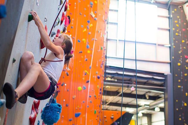 A Public Relations Primer