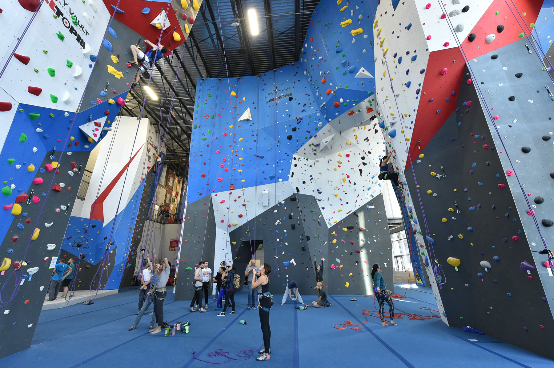 Are Markets Approaching Saturation? Behind the Desk with Lucas Kovalcik at The Gravity Vault