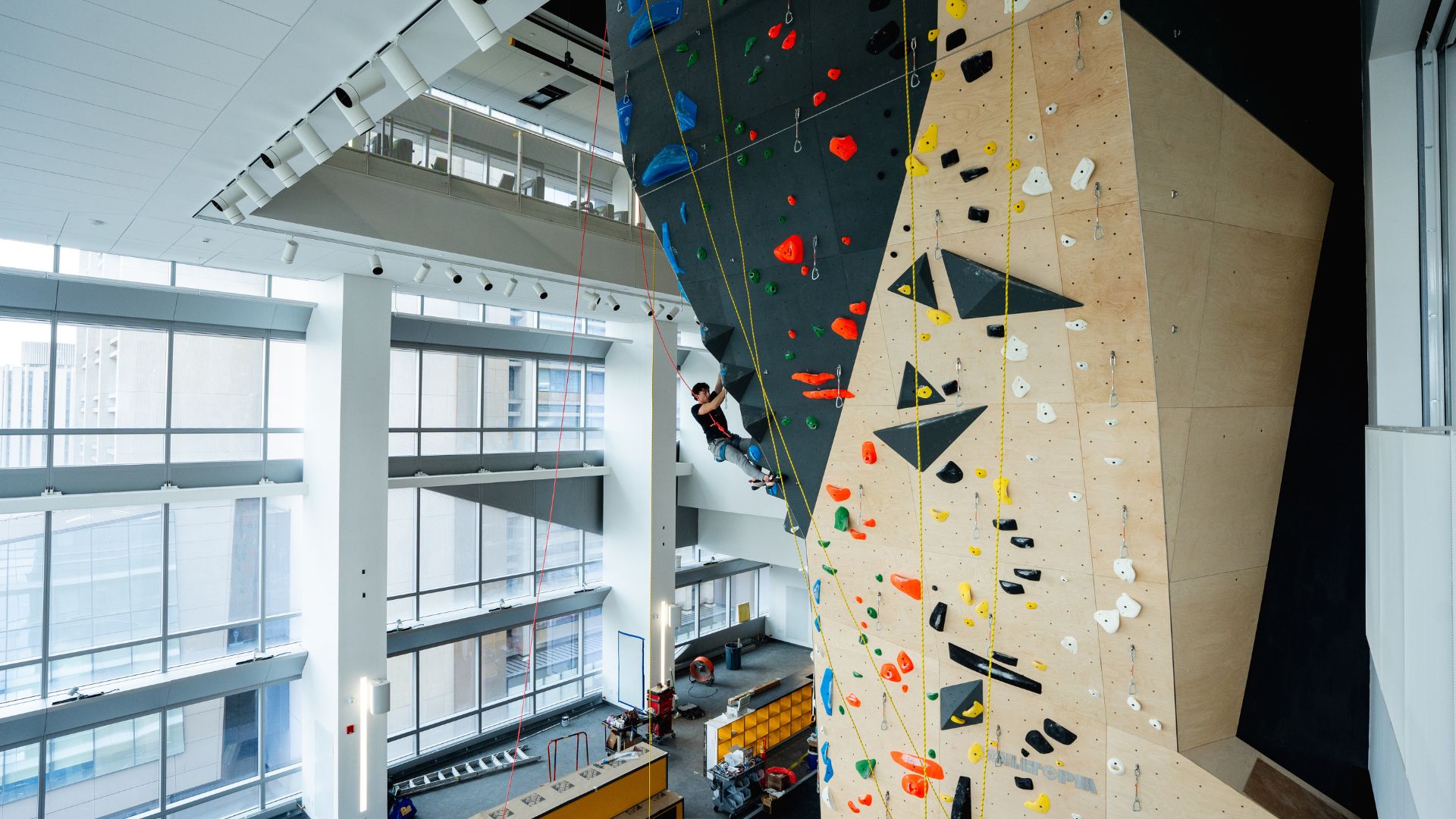 University Rec Center Has Comprehensive Routesetting Program and Commercial-Grade Walls