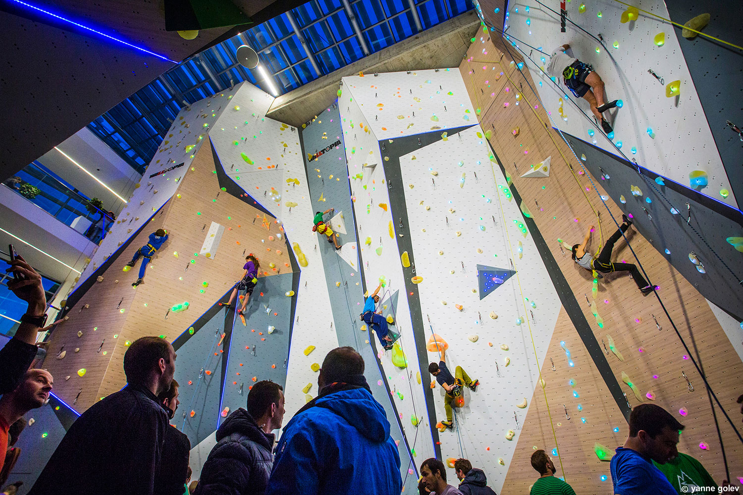 Walltopia Announces a New Equipment Lease Financing Program