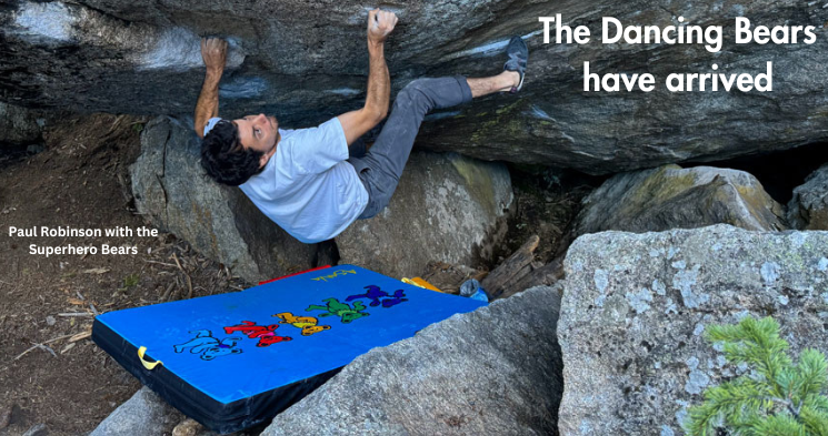 The Dancing Bears Have Arrived!